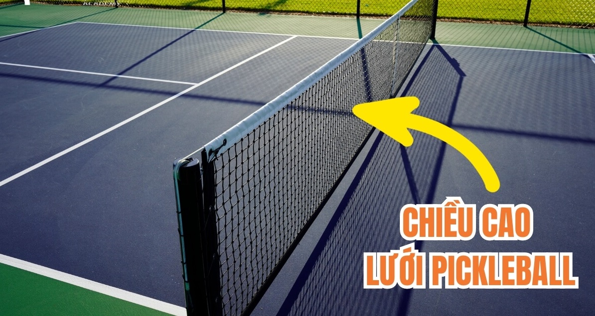 chiều cao lưới pickleball