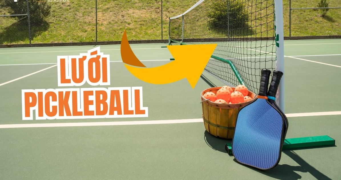 chiều cao lưới pickleball