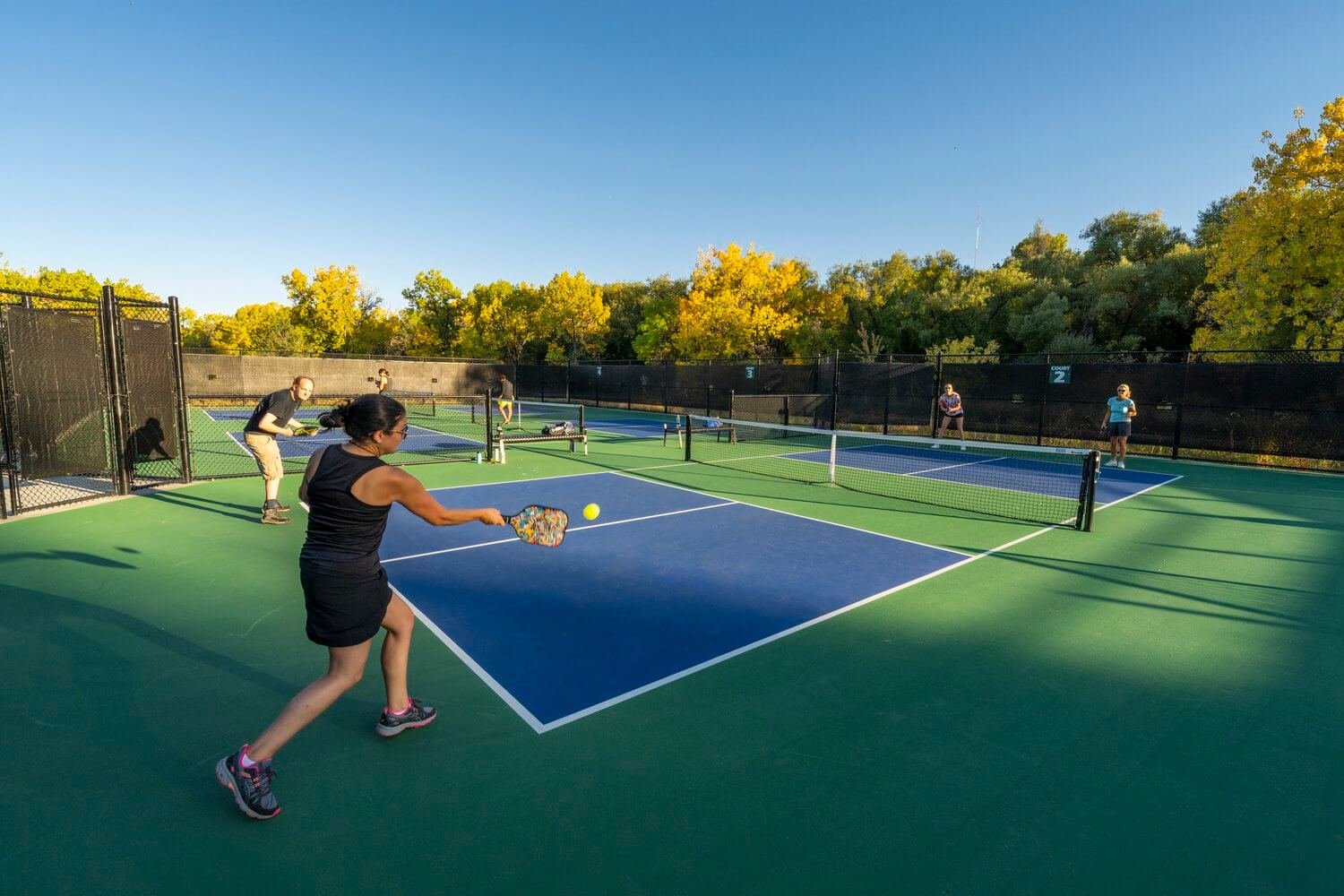 kích thước sân pickleball